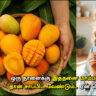 how many mangoes to eat daily